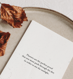 PLANTABLE Greeting Card || FLOWERS