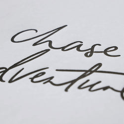 Chase Adventure Print