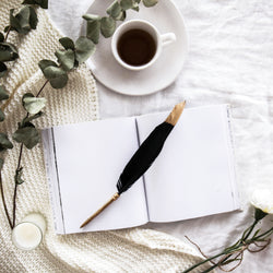 Black Feather Pen