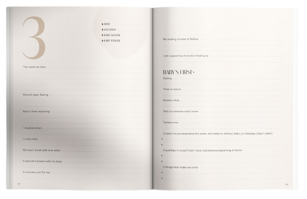 PREGNANCY LISTS & PLANNING PAGES