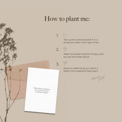 PLANTABLE Xmas Card || White Xmas
