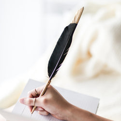 Black Feather Pen
