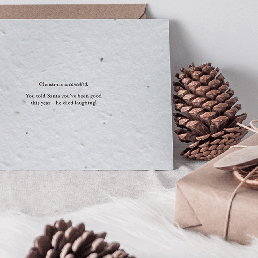 SEEDED Christmas Cards