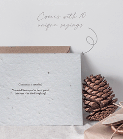 SEEDED Christmas Cards